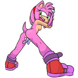 amy rose from sonic (series) by filthypally