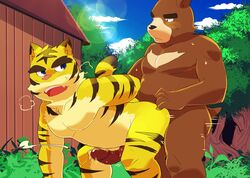 absurd_res anal bear cloud cum feline forest grass hands-free hi_res juuichi_mikazuki male mammal masshiro morenatsu musclegut muscular orgasm overweight pecs penis sky sweat tiger torahiko_(morenatsu) tree yaoi