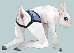 all_fours anatomically_correct anatomically_correct_anus anthro anus ass backsack balls blush caprine clothed clothing crossdressing ear_piercing easy_access goat hooved_fingers hooves horn lace liteu looking_back male male_only mammal nipple_piercing nipples perineum piercing side_view solo