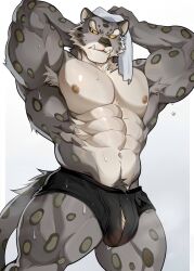 tai lung (kung fu panda) from dreamworks by chung0 0