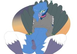 alpha_channel anthro avian balls beak biped bird erection foreskin galliform genitals glans humanoid_genitalia humanoid_penis male munkeesgomu peafowl penis phasianid solo transparent_background