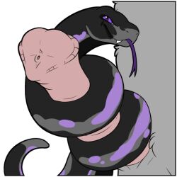 black_body duo equid equine feral genitals horse mammal penis purple_eyes reptile scalie snake symrea telegram_sticker