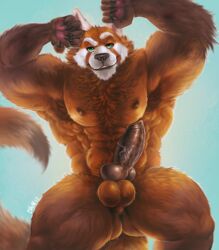 2017 5_fingers abs aery animal_genitalia animal_penis anthro anthro_only armpit_hair balls biceps big_muscles biped black_claws black_nose black_penis blue_background brown_fur brown_nipples brown_tail canine canine_penis chumbasket claws digital_media_(artwork) dipstick_tail erection eyebrows fluffy fluffy_tail front_view fur furry green_eyes hi_res hybrid knot looking_at_viewer male male_only mammal multicolored_tail muscular muscular_male nipples no_humans nude orange_balls orange_fur orange_tail pecs penis portrait raised_eyebrow red_panda serratus signature simple_background smile smirk solo standing three-quarter_portrait vein veiny_penis were werewolf white_eyebrows white_fur