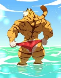 2018 anthro back_muscles brown_stripes caleb_(floofninja) clothed clothing deltoids eyewear eyewear_on_head fangs felid forearm_muscles fur gloves_(marking) green_eyes hi_res kartos legs_in_water looking_at_viewer looking_back looking_back_at_viewer male mammal markings muscular muscular_anthro muscular_butt muscular_male muscular_thighs partially_submerged prehistoric_species red_clothing red_speedo red_swimwear saber-toothed_tiger sabertooth_(anatomy) solo speedo speedo_only standing_in_water striped_body striped_fur stripes sunglasses sunglasses_on_head swimwear teeth topless triceps yellow_body yellow_fur