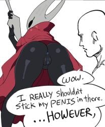 anus ass bug female hollow_knight hollow_knight_(franchise) hornet_(hollow_knight) pussy voider_(artist) voiderino voidovoiderino