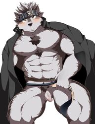 2017 666yubazi abs anthro areola balls barazoku belt better_version_at_source biceps blush body_hair canine chest_hair clothing coat coat_cape flaccid front_view fur hair headband headgear hi_res horkeukamui kemono loincloth looking_at_viewer male male_only mammal manly muscular nipples pecs penis presenting presenting_penis pubes simple_background solo spread_legs spreading standing thick_thighs tokyo_afterschool_summoners uncut white_background wolf