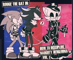 rouge the bat from sonic (series) by ctrl bullet