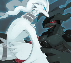 2boys blue_eyes blush dragon fur furry gay hidoritoyama interspecies legendary_pokémon male male_only nintendo nude open_mouth penis pokemon pokemon_bw red_eyes reshiram sweat tongue video_games white_fur zekrom