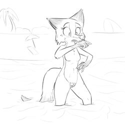 1girls 2016 abs anthro beach black_and_white breasts canine disney featureless_breasts female flat_chest fox fur hi_res mammal mature_female monochrome mrs._wilde nude outside partially_submerged pubic_hair pussy seaside solo standing visiti water wet zootopia