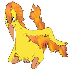 avian bird female fire legendary_pokémon moltres nintendo pokemon pussy solo video_games