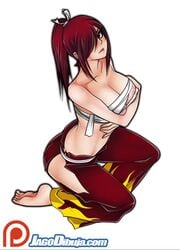 animated big_ass breasts erza_scarlet fairy_tail female huge_breasts jago_dibuja no_sound red_hair video