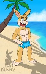 anthro areola athletic athletic_anthro athletic_male beach biped blonde_hair blue_clothing blue_eyes blue_swimwear bulge clothed clothing cloud day detailed_bulge feet fingers front_view full-length_portrait fur hair hand_on_hip happy hi_res humanoid_hands james_bunny jamesbunny007 lagomorph leporid male mammal multicolored_body multicolored_fur navel nipples open_mouth open_smile outside palm_tree pecs plant plantigrade portrait rabbit sand short_hair smile solo standing swimming_trunks swimwear tan_body tan_fur teeth tight_clothing toes tongue topless topless_anthro topless_male tree two_tone_body two_tone_fur water yellow_body yellow_fur