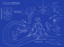 absurd_res blueprint female hi_res hydrazyne knot machine monster_girl_(genre) robot scylla solo tentacle