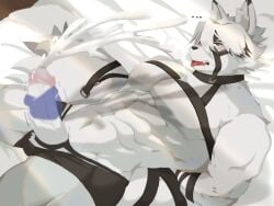 2024 4:3 abs anthro bed black_highlights blush bodily_fluids bondage bondage bottomwear bound boxer_briefs bulge byshz2000 canid canine canis chest_harness clenched_teeth clothing cum cumshot digital_media_(artwork) disembodied_hand ejaculation erection exclamation_point finger_on_penis fluffy fluffy_tail fur furniture genital_fluids genitals hair hand_behind_back harness hi_res highlights_(coloring) holding_penis light light_beam lying lying_on_bed male mammal mihoyo motion_blur motion_lines muscular muscular_anthro muscular_male nude on_bed orgasm pecs penis penis_poking_out red_eyes solo straps sunbeam sunlight surprise tail teeth underwear vein veiny_penis von_lycaon white_body white_fur white_hair wolf zenless_zone_zero