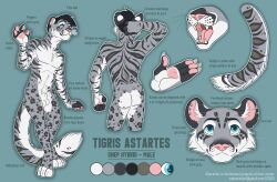 absurd_res animal_genitalia anthro ass athletic balls big_tail blue_eyes felid feline genitals hi_res hybrid male mammal markings model_sheet pantherine piercing reference_image references sheath siberian_tiger snow_leopard solo solo_focus spots spotted_markings striped_markings stripes sudan_red tail tattoo tiger tigris tigris_astartes