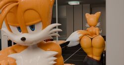 feminine tails from sega by adri164