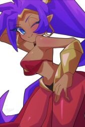 1girls blue_eyes brown_skin female female_only purple_hair satoro301 shantae shantae_(character) solo winking_at_viewer