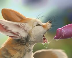 2017 animal_genitalia animal_penis artist_request canine canine_penis cum cute fellatio fennec fox heart mammal mangobird messy open_mouth oral penis realistic sex tongue tongue_out