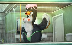 1futa 2017 anthro areolae avian ball_bulge balls balls_in_panties balls_under_clothes bathroom belly bird breasts cameltail chubby clothing cuddlebutt erect_nipples flaccid furry futa_only futa_sans_pussy futanari intersex invalid_tag large_balls large_breasts large_nipples large_penis nipples panties panty_bulge penis penis_bulge penis_in_panties penis_under_clothes raining shower solo solo_futa topless toucan underwear wide_hips