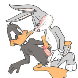 anthro avian balls bird blush buckteeth bugs_bunny clothing daffy_duck duck duo erection feathers fur gloves green_eyes half-closed_eyes kneeling lagomorph looney_tunes lying male male_only mammal on_side open_mouth penis rabbit simple_background soft_feathers spreading sweat teeth warner_brothers whiskers yaoi zehn