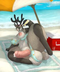 1futa anthro balls beach bikini breasts cervine clothing cooler cuddlebutt cum deer dickgirl futanari hyper intersex invalid_tag looking_at_viewer mammal nipples panties penis reindeer sea seaside solo solo_futa swimsuit towel underwear water wide_hips