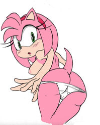 amy rose from sonic (series)