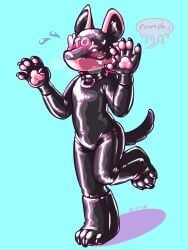 2024 3:4 5_fingers animal_mask anthro biped black_body blue_background blush brevity canid canine clothed clothing collar digital_media_(artwork) embarrassed english_text fingers gimp hair hi_res latex male mammal mask pawpads paws pink_hair pink_pawpads pup_mask simple_background solo speech_bubble text toysuit
