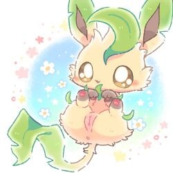1:1 2026 anus big_eyes blush body_blush brown_eyes brown_inner_ear canid chibi colored digital_drawing_(artwork) digital_media_(artwork) ears_up eeveelution feet female feral flower fur generation_4_pokemon genitals hi_res leaf leaf_tail leafeon mammal neck_tuft nintendo notched_ear open_mouth paw_pose pawpads paws plant pokemon pokemon_(species) pose red_pawpads small_mouth solo sparkles star tail tan_body tan_fur thick_thighs tuft vulva vulva_blush waruwaru0205 wide_hips