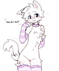 1boy androgynous animal_ears armwear belly_button blush blush_lines blushing_at_viewer brown_eyes choker collar ear elbow_gloves elbows english_text femboy flat_chest flat_chested fluffy fluffy_ears fluffy_tail furry furry_male furry_only hearts_around_text hidden_genitalia hips hips_wider_than_shoulders legwear lewd_expression neck pink_armwear pink_collar pink_legwear pink_thighhighs stomach sufness tail text thick_thighs thighhighs thighs thin_eyebrows thin_neck thin_waist white_armwear white_body white_fur white_hair white_legwear white_thighhighs wide_hips wide_thighs