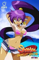 shantae (character) from shantae by n sakurajyousui
