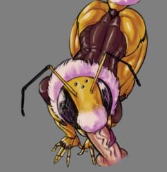 all_fours anthro arthropod bee bee_girl_(sun_bug) black_eyes compound_eyes disembodied_penis exoskeleton fellatio female fur_collar genitals grey_background humanoid_genitalia humanoid_penis hymenopteran insects male male/female oral penile penis sex simple_background sun_bug tongue tongue_out tongue_out_fellatio yellow_body