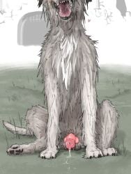 2026 4_toes absurd_res animal_genitalia animal_penis balls black_lips bodily_fluids breath canid canine canine_genitalia canine_penis canis digital_media_(artwork) domestic_dog dominant dominant_feral dominant_male dripping faceless_character fangs_bared fear_and_hunger feet feral front_view fur gate genital_fluids genitals grass_field grey_body grey_fur heart_symbol hi_res hotdogmeat hunting_dog irish_wolfhound jaggedjaw_(fear_and_hunger) knot knotted_penis leaking_precum lips long_fur low-angle_view male male_feral mammal naughty_face open_mouth outside pawpads penis precum precum_drip precum_on_ground precum_squirt precum_string presenting presenting_penis realistic_feral realistic_penis_size saliva saliva_drip saliva_on_tongue saliva_string sighthound sitting smile solo steam tail tail_motion tailwag toes tongue tongue_out toony tuft wall_(structure) white_body white_fur