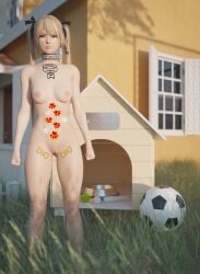 1girls 3d backyard blender_(software) blonde_hair collar dead_or_alive dog_bowl dog_collar doghouse marie_rose petplay puppyplay soccer_ball solo tattoo tennis_ball vibrator