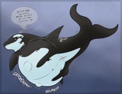 animal_genitalia animal_vulva ass belly big_belly black_body black_fin black_tail cetacean cetacean_genitalia cetacean_vulva dialogue dolphin dorsal_fin english_text female female_pred feral feral_pred fin genitals hi_res looking_back mammal marine oceanic_dolphin orca solo solo_feral tail talking_feral text toothed_whale underwater unknown_artist vore water white_belly