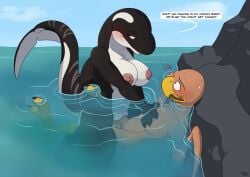 anthro avian avian_feet bald balls beak big_breasts bird black_body black_skin blowhole breasts cetacean dialogue dolphin dominant dominant_female dorsal_fin duo english_text erection eye_contact featherless female female_rape fin genitals hi_res humanoid_genitalia humanoid_penis interspecies looking_at_another male male/female mammal marine mcfan oceanic_dolphin orca partially_submerged penetration penile penile_penetration penis penis_in_vagina swiftwind tail tail_fin text thick_tail toothed_whale vaginal_penetration