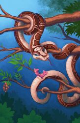 2_penises animal_genitalia animal_penis blue_eyes bodily_fluids branch brown_body brown_scales cloacal_penis cloudweaver_(artist) coiling erection feral forked_tongue fruit_tree genital_fluids genitals hemipenes hi_res looking_at_viewer male male_only multi_genitalia multi_penis multicolored_body nature on_branch penis plant precum precum_on_penis precum_string reptile scales scalie signature snake solo spiked_penis spikes spikes_(anatomy) suel tongue tongue_out tree two_tone_body