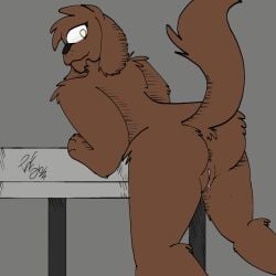 1:1 anthro anus aroused ass bird_dog blush body_blush brown_body brown_fur canid canine canis cocker_spaniel domestic_dog dripping_vulva female fur genital_focus genitals hi_res hunting_dog male male/female mammal nude paprika_c_lupis piperis raised_tail solo spaniel tail vulva vulva_blush vulva_focus