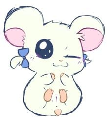 2021 accessory anus big_eyes big_pupils bijou_(hamtaro) black_eyes blue_bow bow_ribbon chibi closed_smile colored cricetid digital_drawing_(artwork) digital_media_(artwork) feet female feral fur genitals hair_accessory hair_ribbon hairbow hamster hamtaro_(series) legs_up looking_at_viewer mammal mouth_closed myrotiggy one_eye_closed pink_feet pink_hands pink_inner_ear pink_nose pink_tail pupils ribbons rodent simple_background small_tail smile solo tail vulva white_background white_body white_ears white_fur wink winking_at_viewer