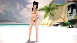 3d dead_or_alive dead_or_alive_5_last_round hitomiluv3r nyotengu