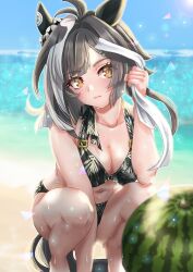 Animal Ears Rule 34 Image