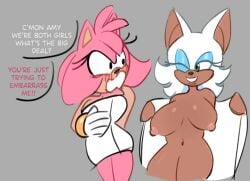 Amy Rose Rule 34 Image