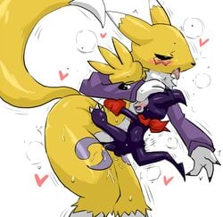 1boy 1girls 3_fingers 3_toes ahe_gao anthro anthro_on_anthro ass balls black_sclera blue_eyes blush canid canine claws digimon digimon_(species) drooling enigi09 erection female flat_chest fox fucked_silly fur furry gloves half-closed_eyes hand_on_head heart heavy_breathing hi_res huge_ass imp impmon interspecies larger_female male male/female mammal nude open_mouth penetration penis purple_fur purple_penis pussy renamon saliva scarf sex sharp_claws sharp_teeth size_difference small_dom_big_sub smaller_male smile standing straight sweat tail tears teeth testicles thick_thighs toe_claws tongue tongue_out trembling vaginal_penetration vein veins veiny_penis video_games white_background white_fur wide_hips wince yellow_fur