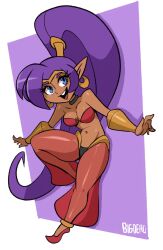 1girls bigdeadalive breasts cleavage full_body fully_clothed pointy_ears shantae shantae:_half-genie_hero shantae_(character) shantae_and_the_pirate's_curse shantae_and_the_seven_sirens skimpy_clothes solo tagme