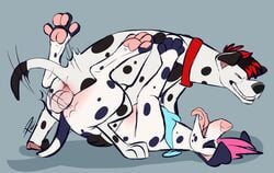 2017 balls canine canine cobalt_(cobaltdawg) dalmatian duo feral freckles_(character) fur mammal motion_lines pastelcore paws penetration simple_background vaginal_penetration vaginal_penetration