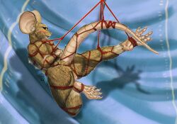 anthro big_ears bondage bondage bound claws digital_media_(artwork) digital_painting_(artwork) embarrassed female full-length_portrait fur hi_res mammal mouse murid murine nude ponynok portrait red_rope restraints rodent rope rope_bondage rope_harness shy solo tail