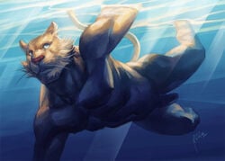 2014 abs anthro biped blue_eyes brown_fur brown_tail cheek_tuft digital_media_(artwork) feline flaccid fur male male_only mammal muscular muscular_male nick300 nude pecs penis pink_nose signature solo swimming tuft underwater water whiskers