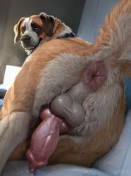 absurd_res ai_generated animal_genitalia animal_penis anus ass better_than_girls black_nose canid canine canine_penis canis domestic_dog dutch_angle feral feral_only fur genitals hi_res inside knot looking_at_viewer looking_back looking_back_at_viewer male male_only mammal molosser mountain_dog penis pink_anus presenting presenting_anus presenting_hindquarters raised_tail saint_bernard shuffur signature smile smiling_at_viewer solo tan_body tan_fur thick_thighs