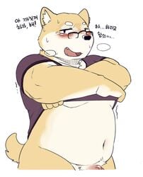 anthro aroused belly biped black_eyes blush bottomless canine chubby clothed clothing eyewear fat fur glasses inner_ear_fluff kemono korean_text looking_at_viewer male mammal motion_lines multicolored_fur navel obese open_mouth partially_clothed penis pink_penis pubes shaking sheeporwolf shiba_inu shirt simple_background slightly_chubby solo standing steam stocky sweat sweatdrop tan_fur teeth text translation_request two_tone_fur undressing vein white_background white_fur