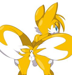 anus ass balls male male_only pantygremlin penis presenting sonic_(series) tails