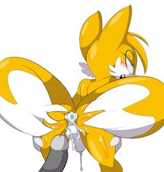 anus ass balls cum cum_in_ass gay male pantygremlin penis presenting sonic_(series) tails